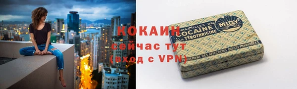 дживик Аркадак
