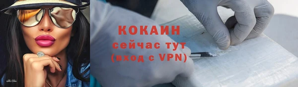 дживик Аркадак